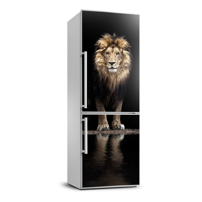 Hűtő matrica Portré egy oroszlán