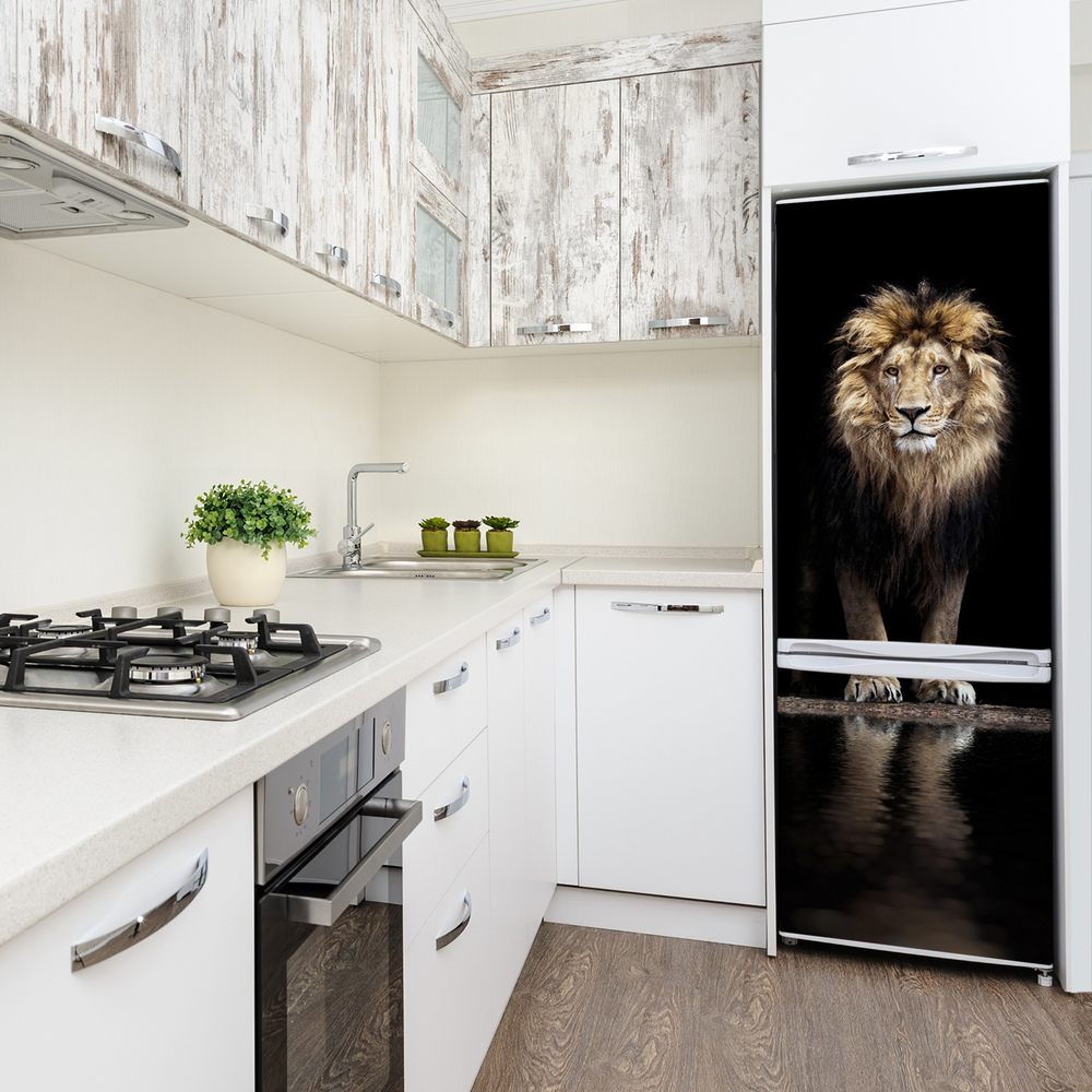 Hűtő matrica Portré egy oroszlán