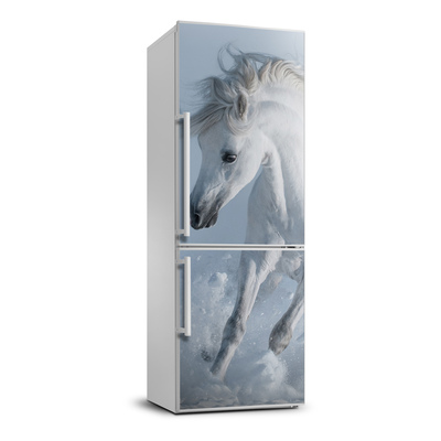 Hűtő matrica Fehér ló