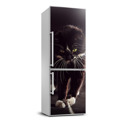 Hűtő matrica Fekete macska