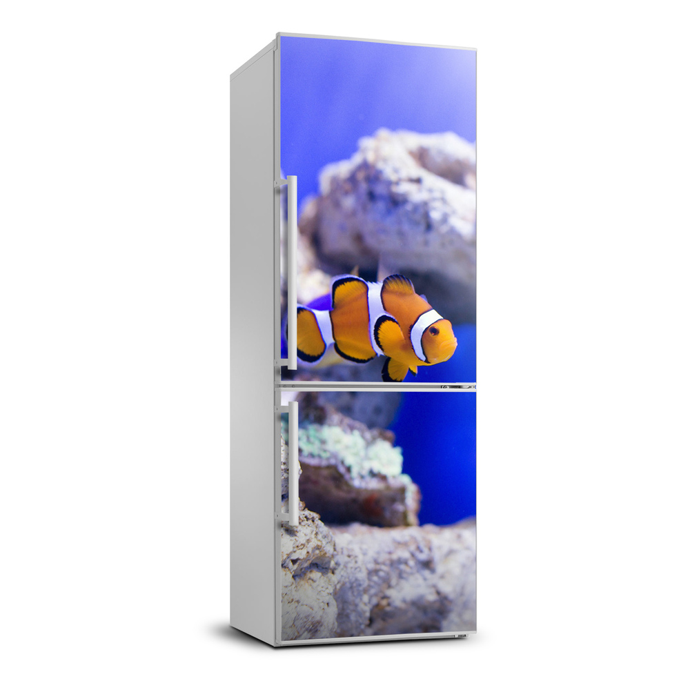 Hűtő matrica Nemo hal