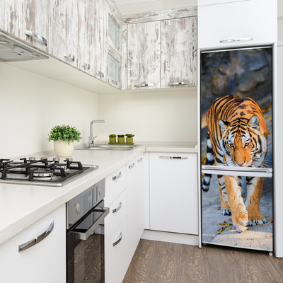 Hűtő matrica Tigris