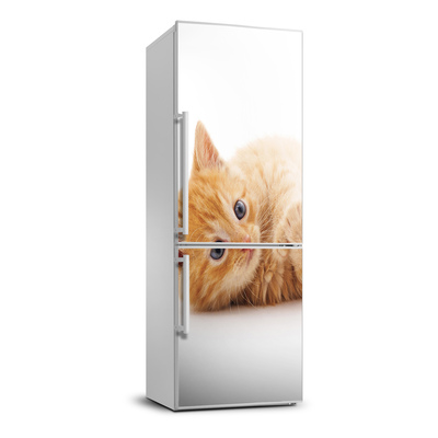 Matrica hűtőre Kis gyömbér macska