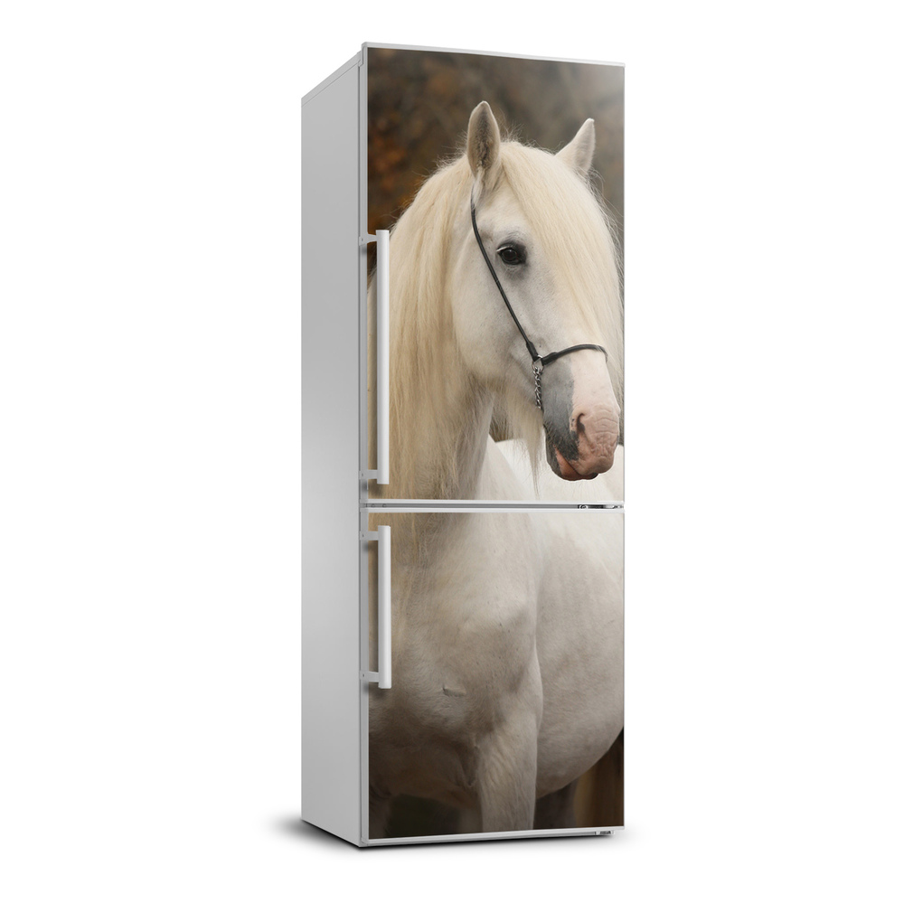 Matrica hűtőre Fehér ló xl