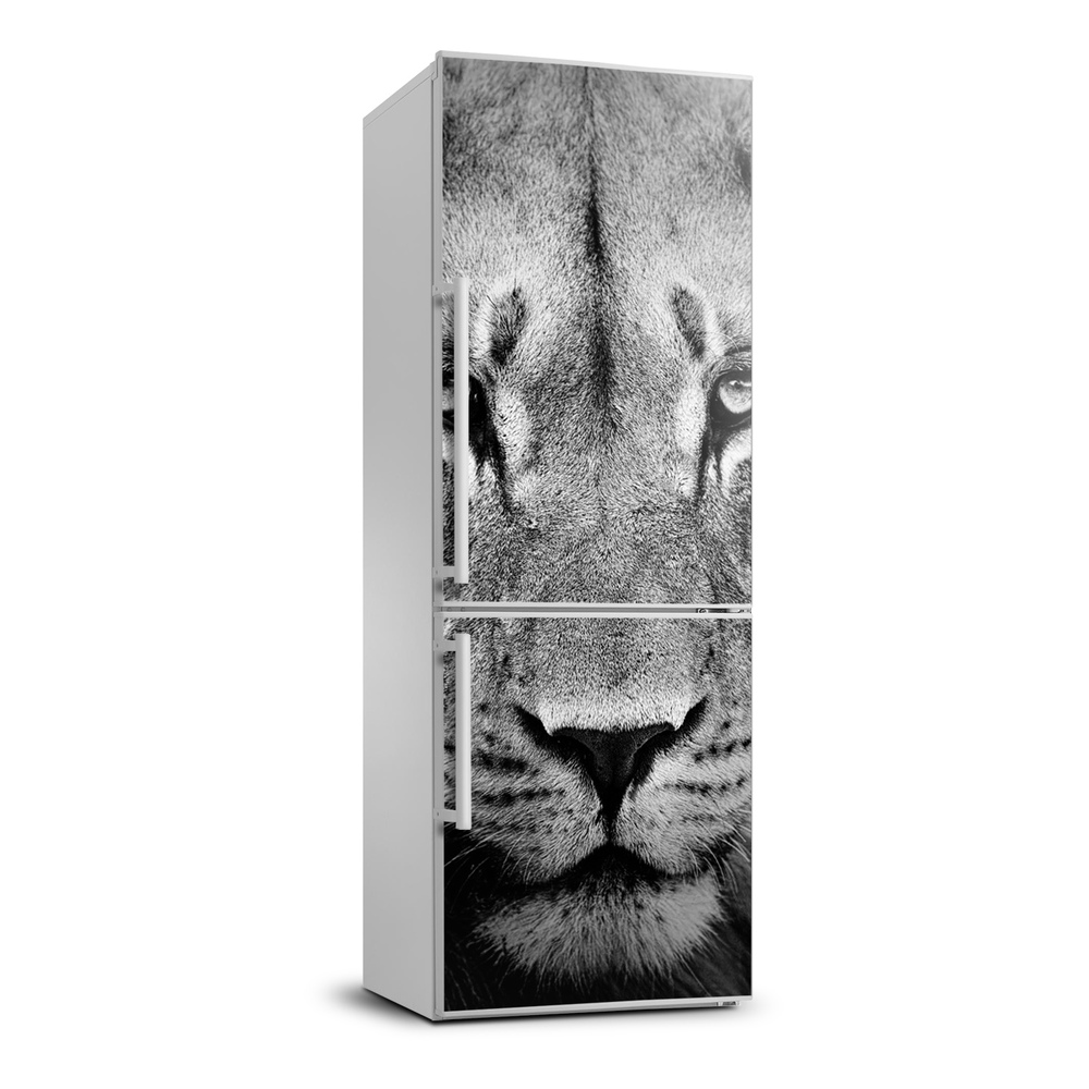 Matrica hűtőre Portré egy oroszlán xl
