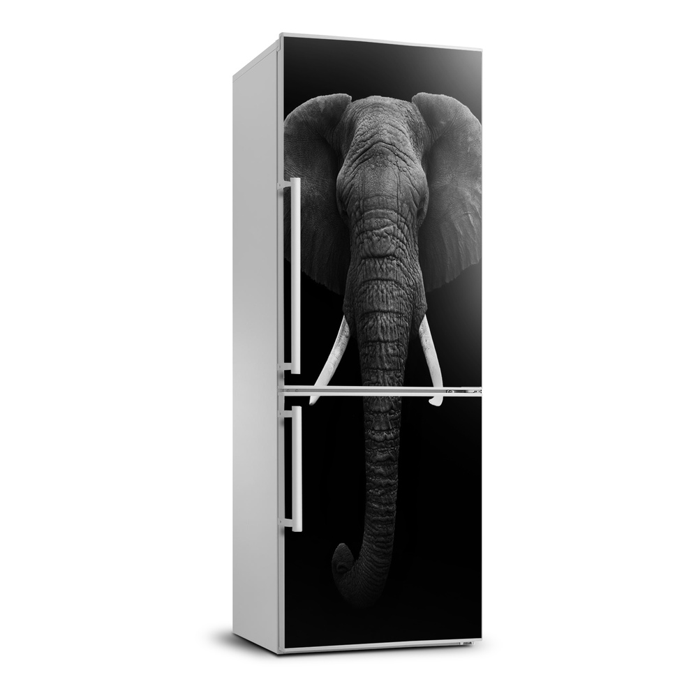 Matrica hűtőre Afrikai elefánt