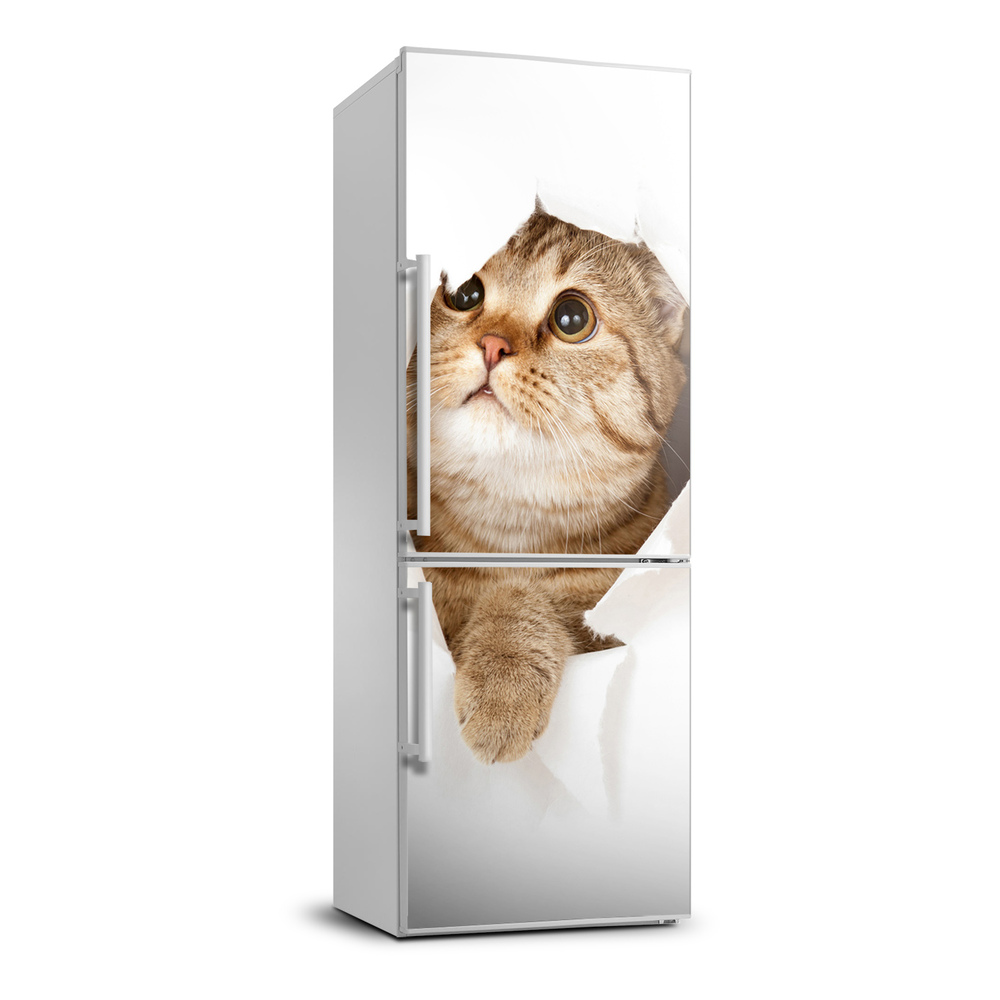 Matrica hűtőre Macska