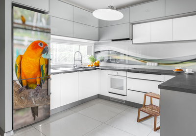 Matrica hűtőre Papagáj