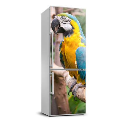 Matrica hűtőre Ara papagáj