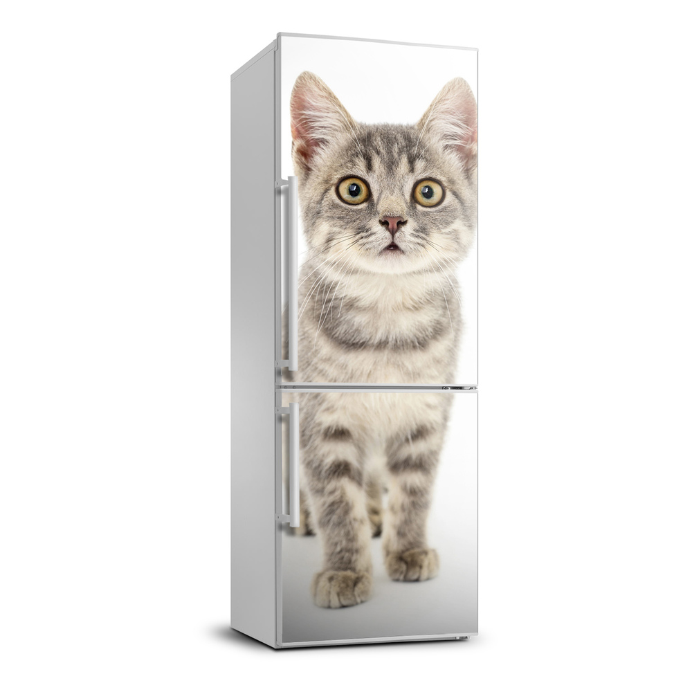 Dekor matrica hűtőre Szürke macska
