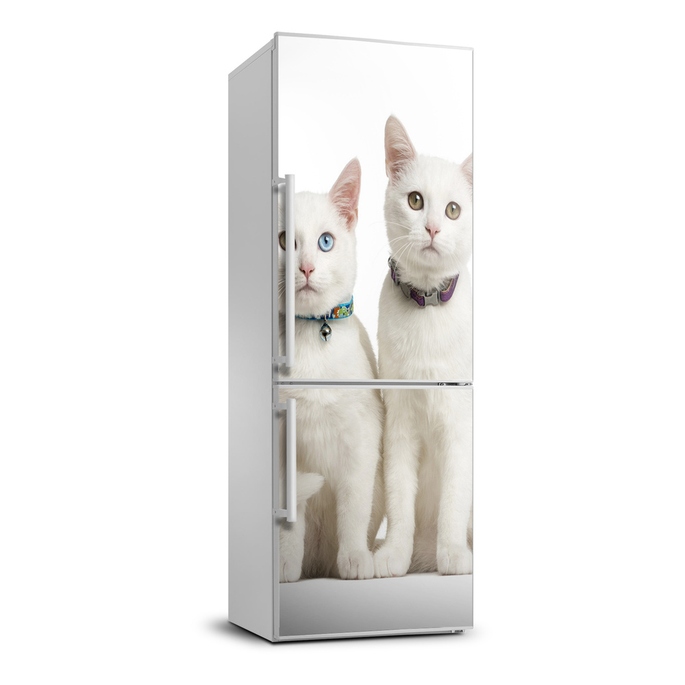 Dekor matrica hűtőre Két fehér macska