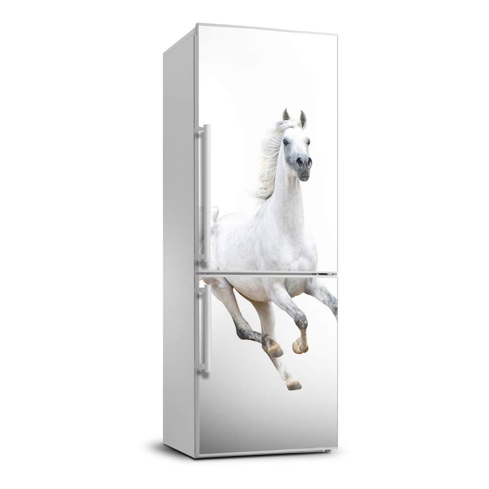 Dekor matrica hűtőre Fehér ló