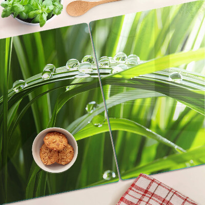 Üveg vágódeszka fényképpel Vízcseppek a fűben