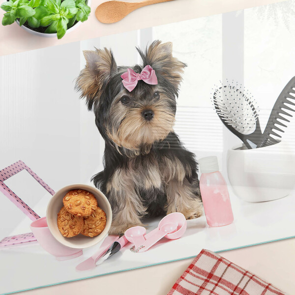 Üveg vágódeszka fényképpel Yorkshire Terrier ápolási kellékekkel