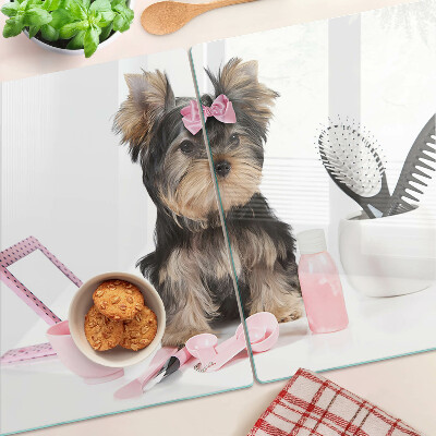 Üveg vágódeszka fényképpel Yorkshire Terrier ápolási kellékekkel