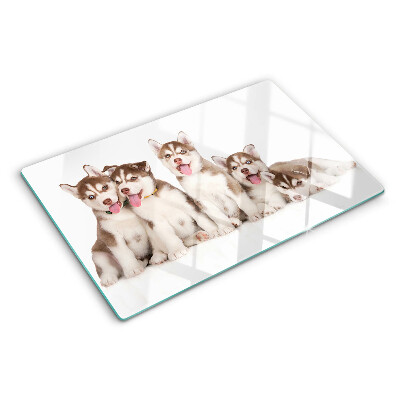 Edzett üveg vágódeszka Husky kölykök