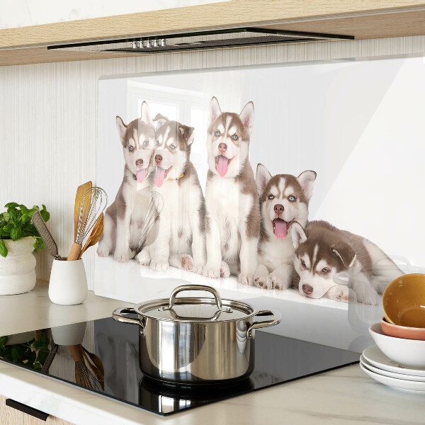 Edzett üveg vágódeszka Husky kölykök