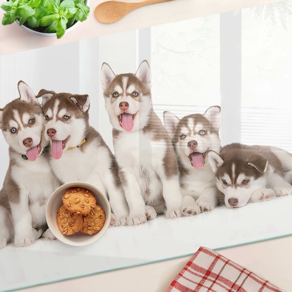 Edzett üveg vágódeszka Husky kölykök