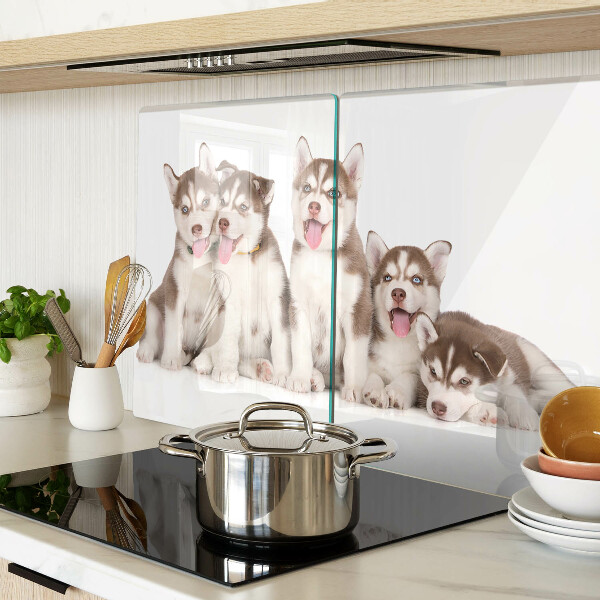 Edzett üveg vágódeszka Husky kölykök