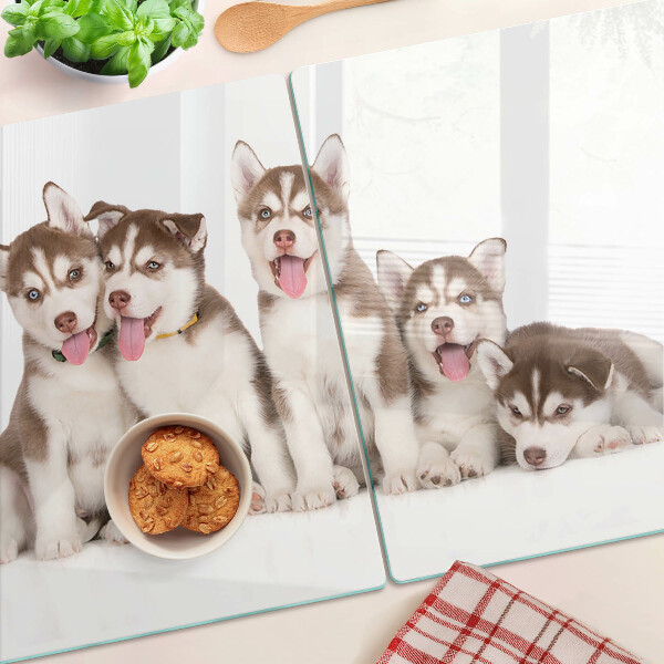 Edzett üveg vágódeszka Husky kölykök