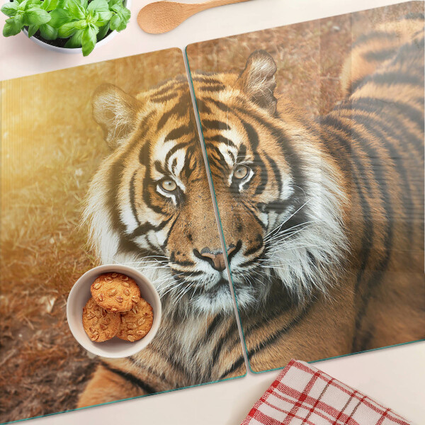 Edzett üveg vágódeszka Tigris a nap sugaraiban