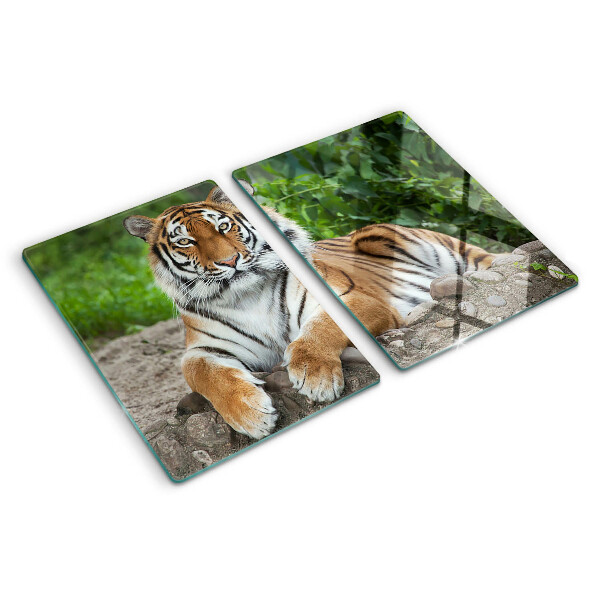 Edzett üveg vágódeszka Tigris természetes élőhelyén