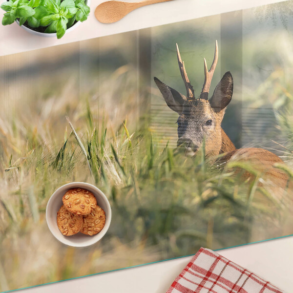 Üveg vágódeszka fényképpel Egy őzgida a mezőn