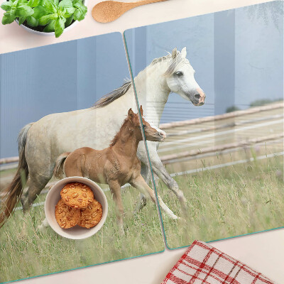 Üveg vágódeszka Egy ló csikóval a réten