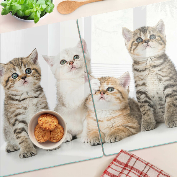 Edzett üveg vágódeszka Egy csapat kiscicát