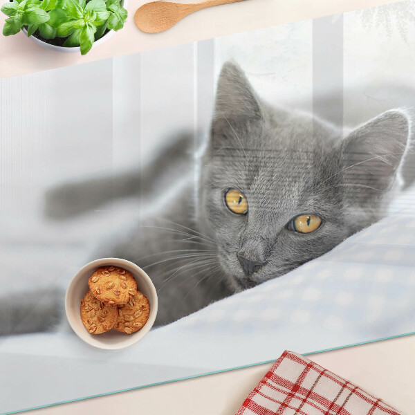 Üveg vágódeszka fényképpel Egy sárga szemű macska