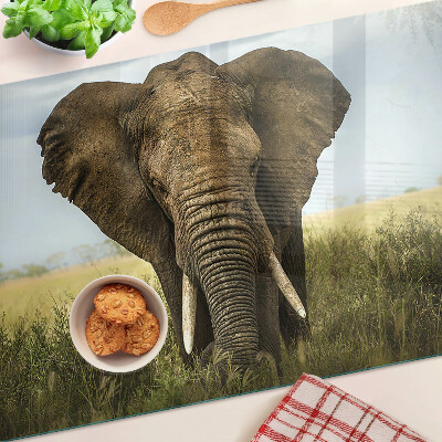 Üveg vágódeszka fényképpel Egy elefánt az afrikai szavanna hátterében