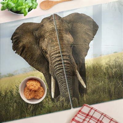 Üveg vágódeszka fényképpel Egy elefánt az afrikai szavanna hátterében