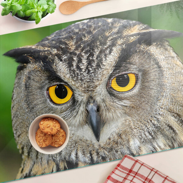 Üveg vágódeszka Egy bagoly kifejező szemekkel