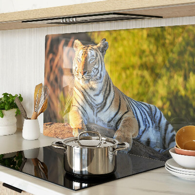 Edzett üveg vágódeszka Tigris a természet hátterében