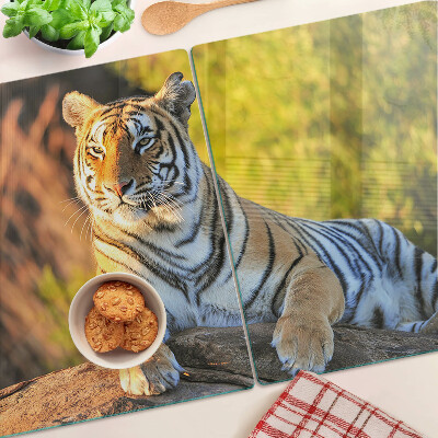Edzett üveg vágódeszka Tigris a természet hátterében