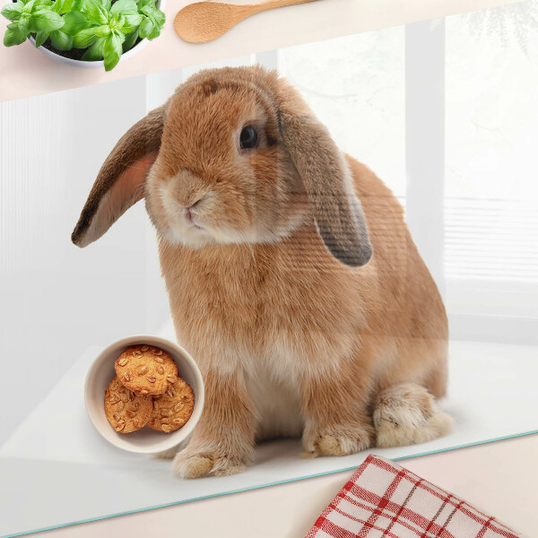 Edzett üveg vágódeszka Nyúl fehér alapon
