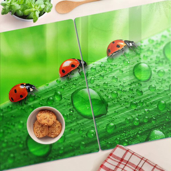 Üveg vágódeszka fényképpel Katicabogarak zöld háttéren