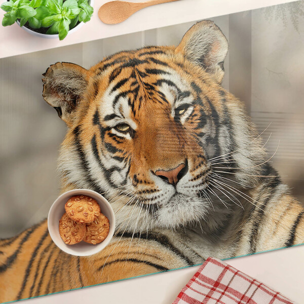 Üveg vágódeszka fényképpel Egy tigris természetes állapotában