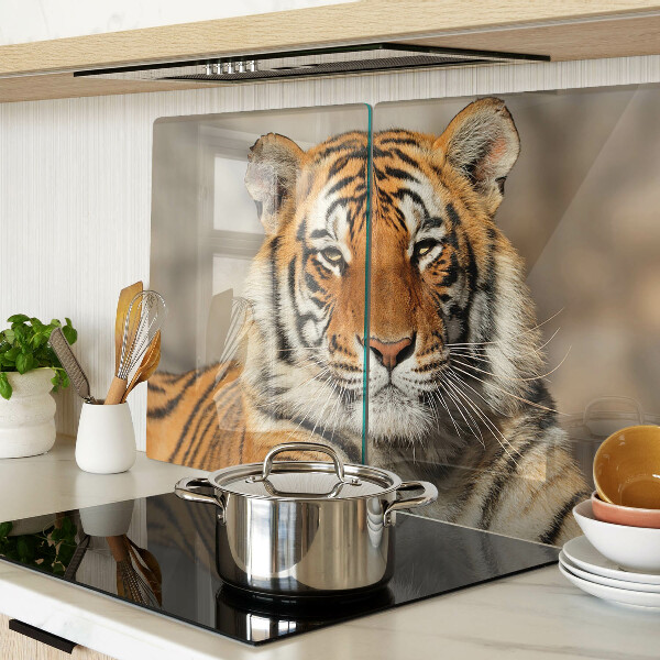 Üveg vágódeszka fényképpel Egy tigris természetes állapotában