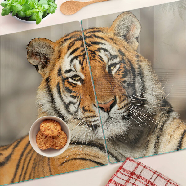 Üveg vágódeszka fényképpel Egy tigris természetes állapotában