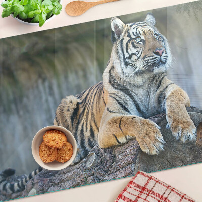 Üveg vágódeszka Tigris egy fatörzsön