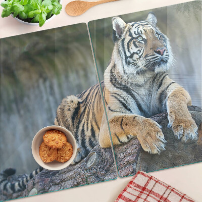 Üveg vágódeszka Tigris egy fatörzsön