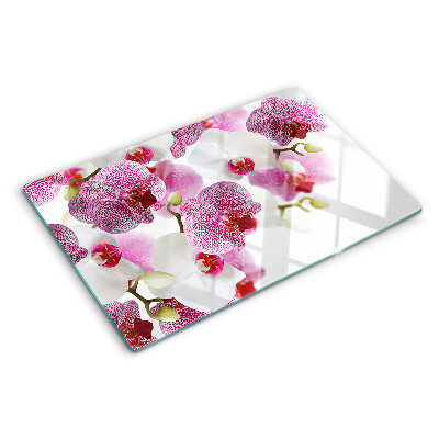 Edzett üveg vágódeszka Orchideák az ablak hátterében