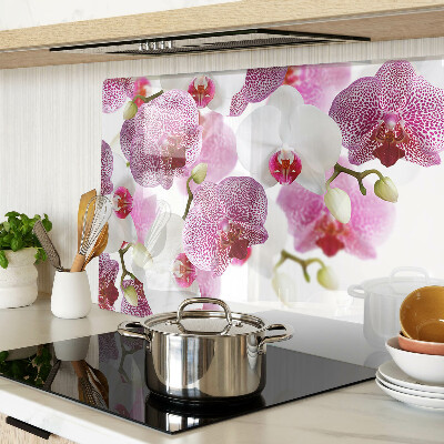 Edzett üveg vágódeszka Orchideák az ablak hátterében