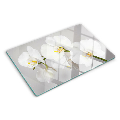Üveg vágódeszka fényképpel Orchideák tükörkép háttér előtt