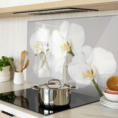 Üveg vágódeszka fényképpel Orchideák tükörkép háttér előtt