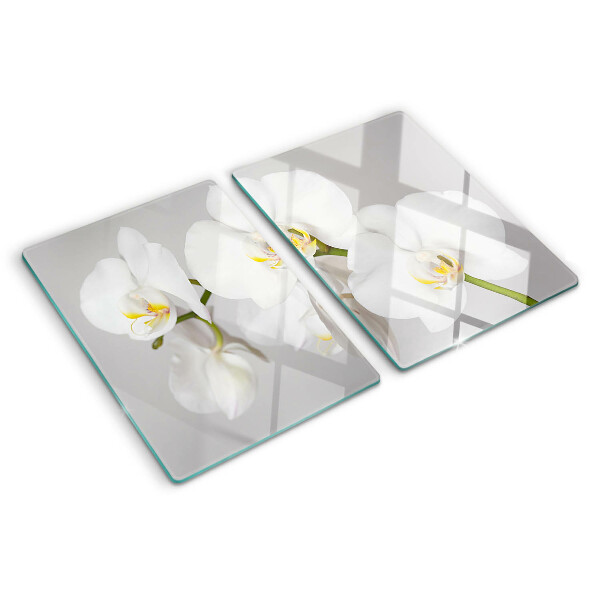 Üveg vágódeszka fényképpel Orchideák tükörkép háttér előtt