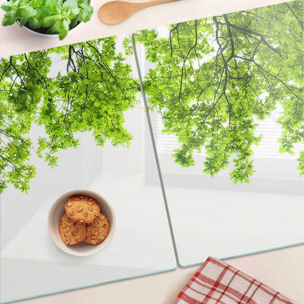 Üveg vágódeszka fényképpel Zöld levelek az ég ellen