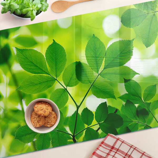 Üveg vágódeszka fényképpel Levelek zöld háttéren