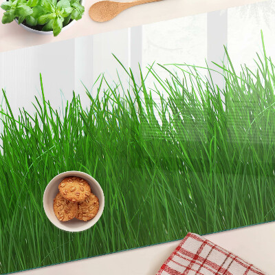Üveg vágódeszka fényképpel Fű a napon